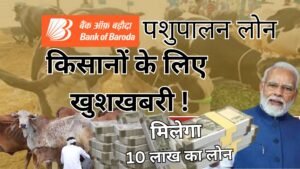 Bank of Baroda Pashupalan Loan