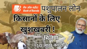 Bank of Baroda Pashupalan Loan