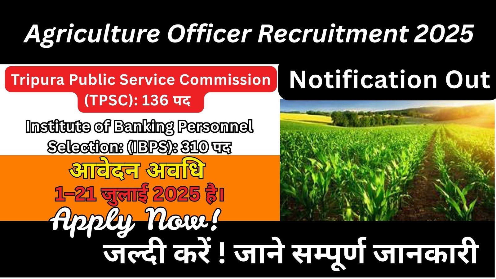 Agriculture Officer Recruitment 2025