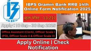 IBPS Gramin Bank RRB 14th Online Form Notification 2025