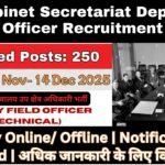 Cabinet Secretariat Deputy Field Officer Recruitment 2025 | इंजीनियरिंग और साइंस ग्रेजुएट्स के लिए 250 पदों पर बड़ी भर्ती